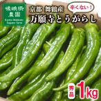 万願寺とうがらし 秀品 1kg