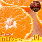 みかん 大玉 どっこいしょ 箱込 10kg