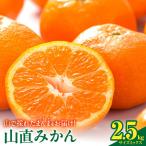 みかん 山から直送 箱込 2.5kg
