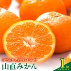 みかん 山から直送 箱込 1kg