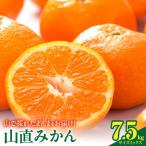 みかん 山から直送 箱込 7.5kg