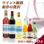 BIWA梅酒セット BIAC012 梅酒