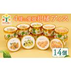 ふるさと納税 柑橘 ア�