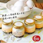 プリン CocoRoプリン6個 包装+メッセージシール