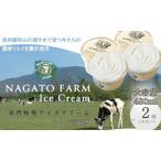 ふるさと納税 長門牧場アイスクリーム 480ml バニラ2個セット スイーツ 乳製品  長野県長和町