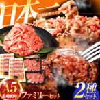 A5 ファミリーセット ロース小間切れ800g&特選ハンバーグ10…