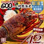 特大伊勢海老 7匹