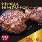 ハンバーグ 牛肉 120g×8個
