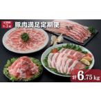 豚肉満足定期便 豚肉 小分け 冷凍 定期便
