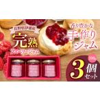 ジャム ベリー 信州 伊那産 完熟 ラズベリー ジャム 200g 3個 セット