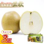 中野農園 梨 ”王秋梨” 3玉入り