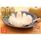 ふるさと納税 【先行予約】(訳あり)中野農園 梨 ”新甘泉” 5kg箱|鳥取 岩美 梨 なし ナシ【41022】 鳥取県岩美町