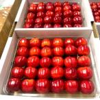 ふるさと納税 さくらんぼ(紅秀峰)400g×2パック 2L 並び詰め 0049-2506 山形県上山市