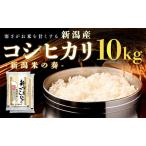 コシヒカリ 10kg
