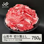山形牛 切り落とし 750g