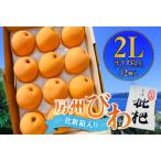 fu.... налог [ предшествующий прием 2026 год 5 месяц средний .~6 месяц последняя декада отправка предположительно ].. локва 2L размер и больше 12 шт ( несессер входить ) mi0114-0001 Chiba префектура юг . общий город 