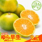 訳あり ゆら早生 みかん 箱込 2.5kg