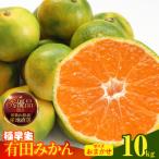 みかん 極早生 箱込10kg 内容量9.2kg