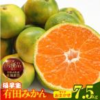 みかん 極早生 箱込 7.5kg