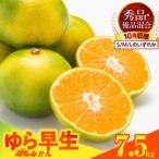 ゆら早生 みかん 箱込 7.5kg