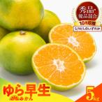 ゆら早生 みかん 箱込 5kg