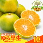 ゆら早生 みかん 山から直送 箱込 10kg