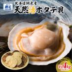 網走産天然活ホタテ貝 4kg前後