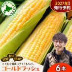 蝦夷っ子 とうもろこし ゴールドラッシュ 6本