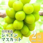 氷温貯蔵シャインマスカット 約900g
