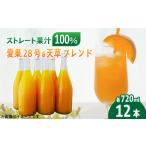あいか&天草ブレンド 果汁100% ジュース 720ml×12本
