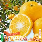 紀州有田産 すっきり爽やか 甘夏みかん 8kg_G7362