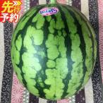 小玉すいか 2玉