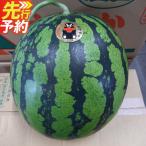 小玉すいか 肥後グリーンメロン 各1玉