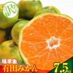 極早生 有田みかん 約7.5kg