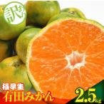 訳あり みかん 極早生 箱込 2.5kg