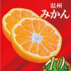 極撰 温州みかん 約10kg