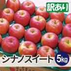 平均糖度13度以上 葉とらずサンふじ 約5kg