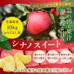 平均糖度13度以上 シナノスイート 約10kg