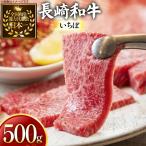 牛肉 長崎和牛 焼肉用 いちぼ 500g