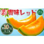 ふるさと納税 ＜2026年先行受付＞ 訳あり メロン 赤肉 約10kg 【 メロン 】 千葉県旭市