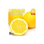 訳あり 河内晩柑 8kg