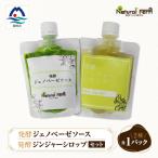 発酵ジェノベーゼソース&発酵ジンジャーシロップ