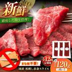 全12回定期便 切れてる 馬刺し 3P計約120g