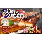 ふるさと納税 【 訳あり 】【 数量限定 】 鹿児島県 大隅産 うなぎ蒲焼き 3尾 セット(計300g) KN007-003-01 うなぎ ウナギ 鰻 蒲焼 鰻重 う.. 鹿児島県鹿屋市