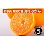 田村みかん 約5kg