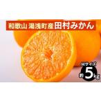 田村みかん 約5kg