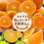 〈3 5 9 11月 全4回〉わかやま旬のカンキツ定期便