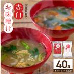 具材の赤白お味噌汁40食_MS1001