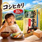 令和8年度産 こしひかり 10kg