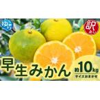 ふるさと納税 【先行予約】【訳あり】由良早生みかん(サイズおまかせ)約10kg【2025年11月初旬から順次発送予定】※北海道・沖縄・離島配送不可.. 和歌山県由良町